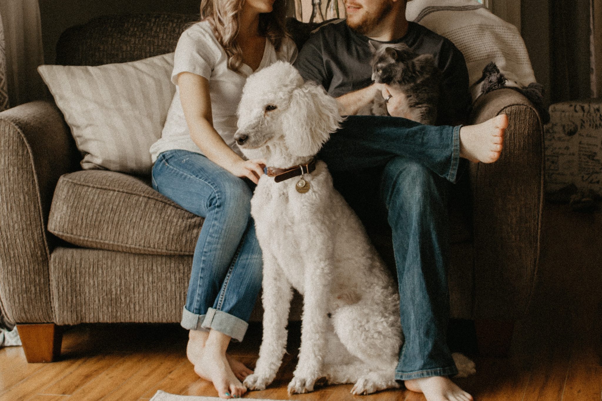 As white standard poodle dog sitting with owner couple