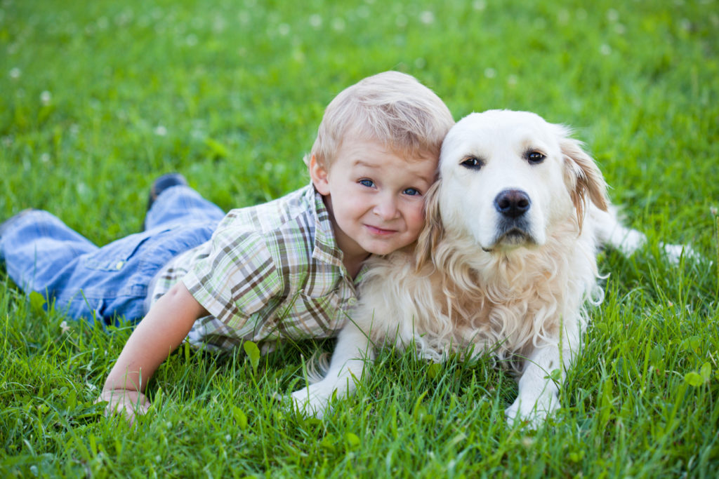 Hobbies for Moms and Homemaker Dog and kid