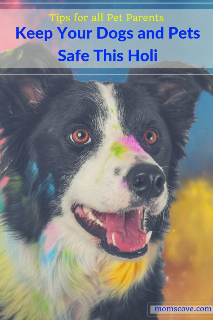 Keep your Dogs and Pets Safe this Holi - Graphic