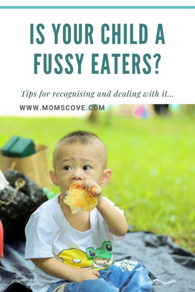 How to deal with fussy eaters 