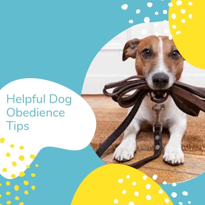 Dog Obedience Training Tips Banner