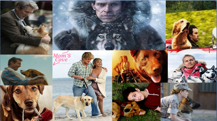 Top 10 best Dog movies poster collage