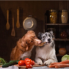 food for dogs